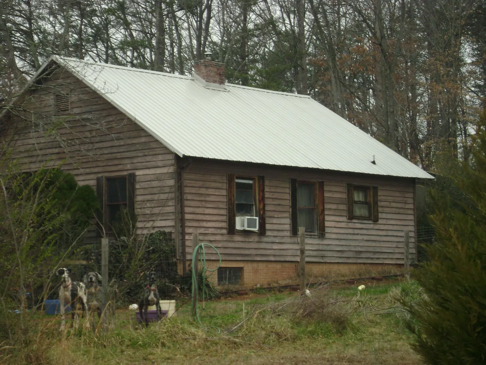 White metal roof on an old wood sided farmhouse, from a Asphalt Shingle Roof Repair job in Cement